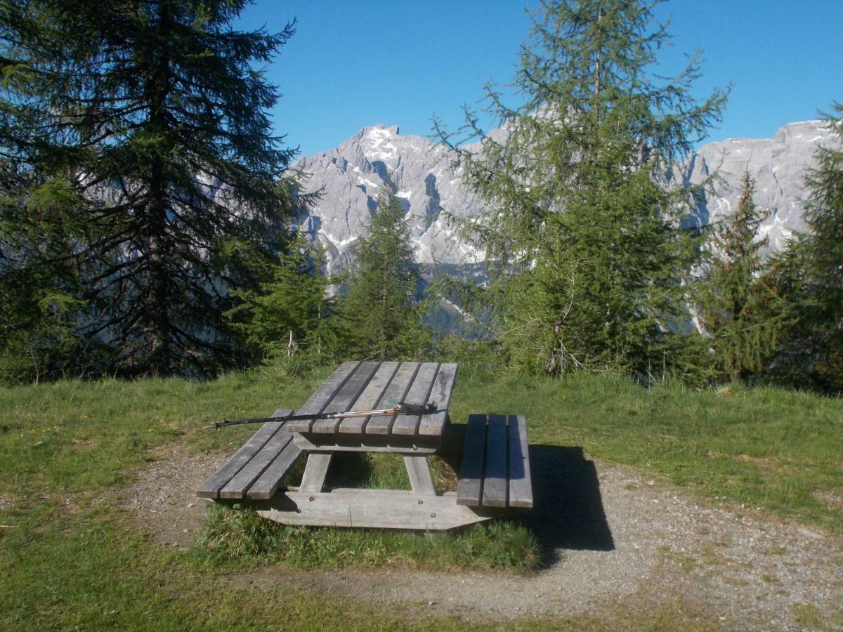 Balcone Sulle Dolomiti Apartment Comelico Superiore Exterior photo